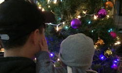 李小鹏抱着儿子看圣诞树 这个画面太美好了